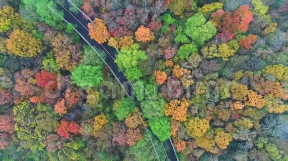 空中摄影植物秋色视频的预览图
