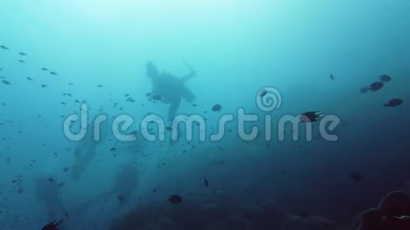 水下潜水员莱特菲律宾视频的预览图
