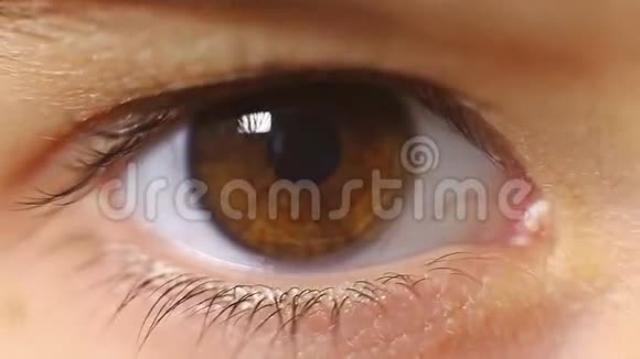 宏观特写眨眼睛的孩子睫毛视频的预览图