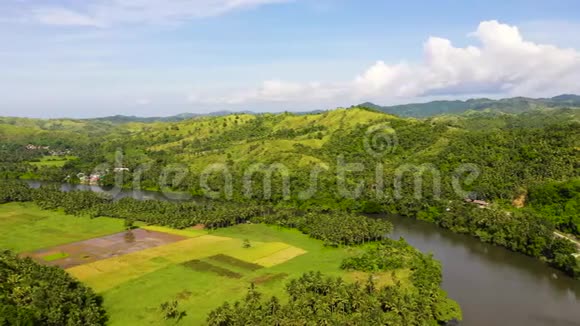 河和青山美丽的东南亚河流自然风光菲律宾的性质Sama视频的预览图