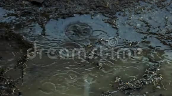 泥泞的地面上有雨滴视频的预览图