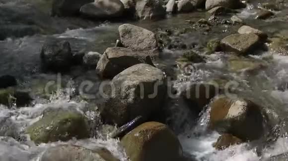 瀑布河与大石头接近视频的预览图