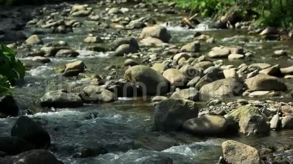 浅山河多岩视频的预览图