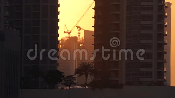 日落时工地和城市背景的塔式起重机视频的预览图