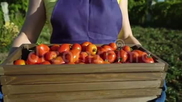 穿着围裙戴着帽子带西红柿的木箱的白种人女性特写视频的预览图