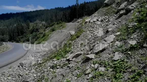 石崖上覆盖着针叶林视频的预览图