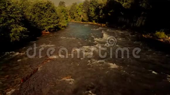 夏季的一天里河流和森林都很迅速视频的预览图