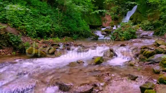 青湿苔藓的石头和岩石沿着山河流有许多弯曲的级联和小瀑布视频的预览图