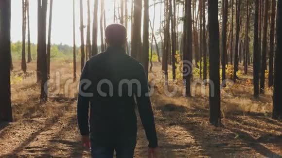 一个年轻人在晴天穿过松林视频的预览图