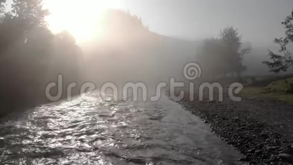 清晨雾蒙蒙的日出笼罩着平静的河流视频的预览图
