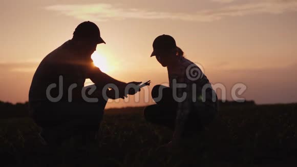 傍晚日落时分在田里干活的农民家庭坐下来探索嫩芽视频的预览图