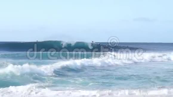 美国夏威夷瓦胡岛岩石桩滩冲浪者视频的预览图
