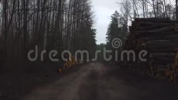 穿过森林中砍伐树木的区域路两旁砍倒树木的桩子一堆伤口视频的预览图