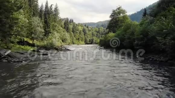 喀尔巴阡山脉的河流和森林视频的预览图