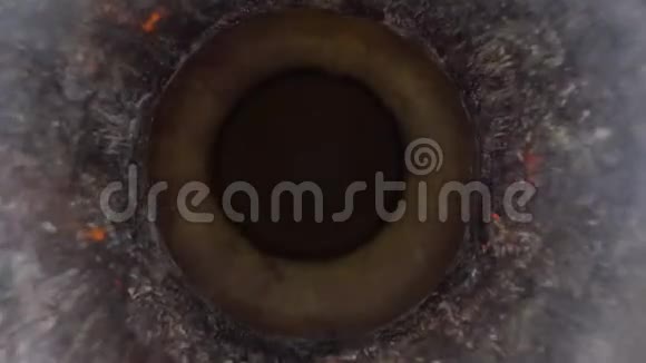 内金属管金属质感管镜头在管道中移动的多利镜头观点视频的预览图