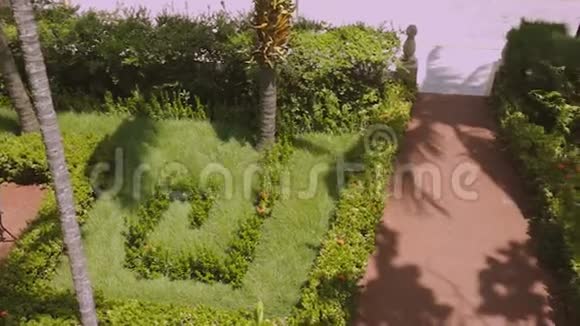 前院美景天然景观背景上的绿棕榈树植物和灌木视频的预览图