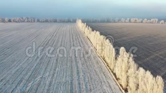 黎明时分雾蒙蒙的天气下雪覆盖了田野视频的预览图