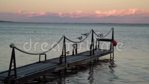 日落时分海鸥坐在码头的栏杆上旋转的水背景是五彩缤纷的晚霞视频的预览图