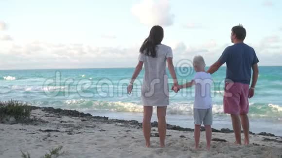 一家人牵着手望着大海视频的预览图