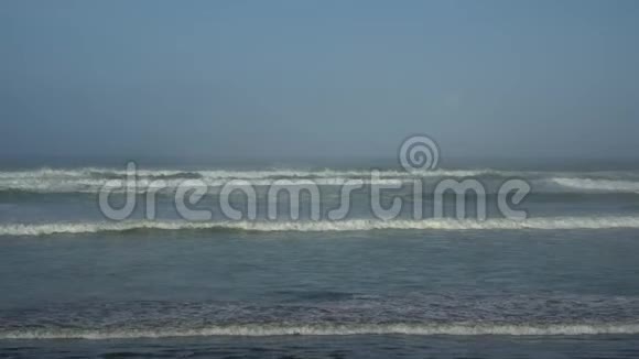 新西兰穆里瓦伊黎明时分黑色沙滩上的小海浪拍打着视频的预览图
