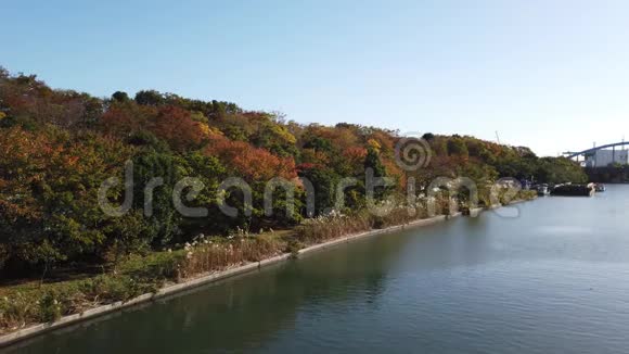 老中川河床在日本视频的预览图