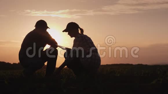 两个农民的剪影男人和女人日落时分在野外工作研究植物嫩枝使用平板电脑视频的预览图