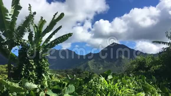 美丽的热带景观美丽的考艾岛在夏威夷美国夏威夷风景的高分辨率视频视频的预览图
