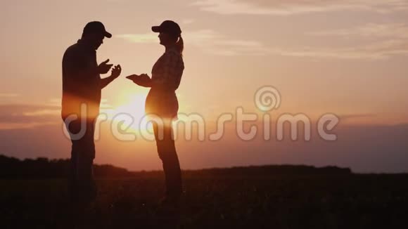 两个成功的农民一个男人和一个女人在日落时在田野里交流有机农业概念视频的预览图