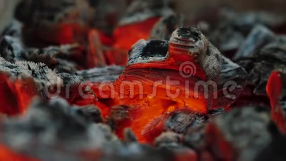 在篝火中燃烧橙色木炭的宏观景观视频的预览图