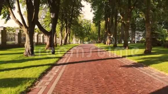 公园和树木中的红色鹅卵石小径视频的预览图