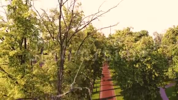 从无人驾驶飞机降落在公园的鹅卵石人行道上视频的预览图