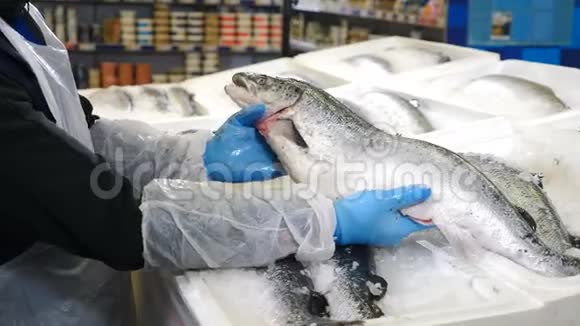 新鲜海冰鱼在柜台市场海鲜市场鱼在超市的鱼部卖鱼类市场视频的预览图
