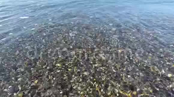 平静的大海卵石滩上的弱波视频的预览图