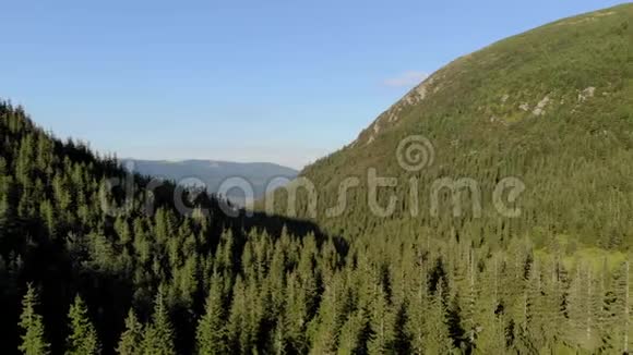 风景秀丽的喀尔巴阡山脉中的绿色山林视频的预览图