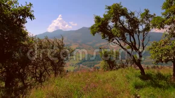 高山村和美丽的山在夏天视频的预览图