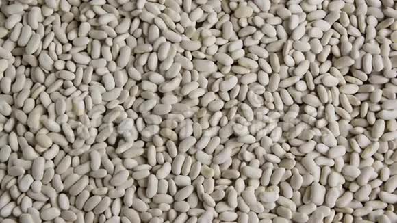白色生aw豆背景天然蛋白质豆类视频的预览图