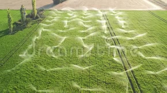 农业灌溉系统在草地上空中观景视频的预览图
