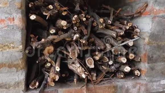 为壁炉准备的柴堆一堆木柴一堆准备做烤串的树枝视频的预览图