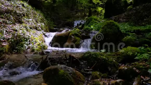 青湿苔藓的石头和岩石沿着山河流有许多弯曲的级联和小瀑布视频的预览图