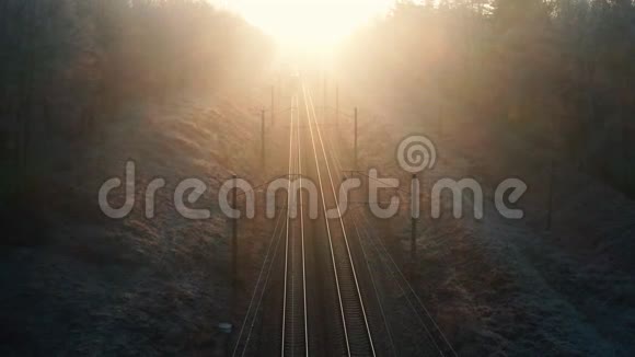 郊区火车穿过秋天的森林去日落视频的预览图