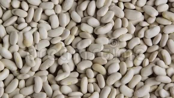 白色生aw豆背景天然蛋白质豆类视频的预览图