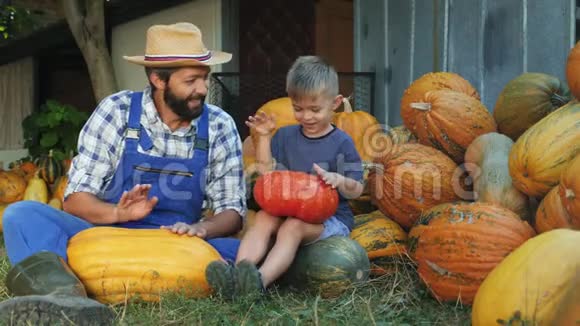 爸爸和小儿子在南瓜上打鼓视频的预览图