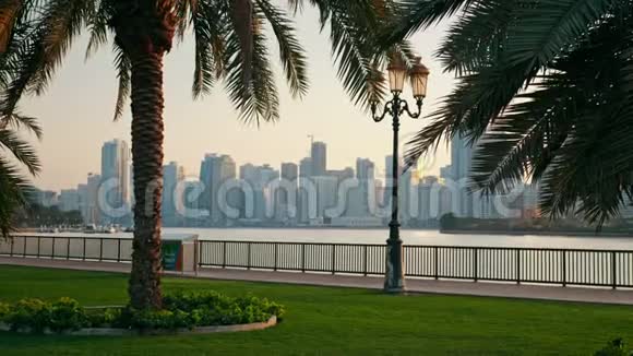 摩天大楼天际线和高大的房屋背景棕榈树大城市的黎明它可以用来视频的预览图