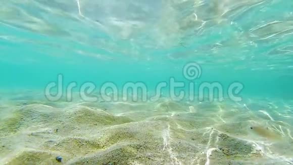 水下慢运动波纹效应沙底和小鱼游泳视频的预览图