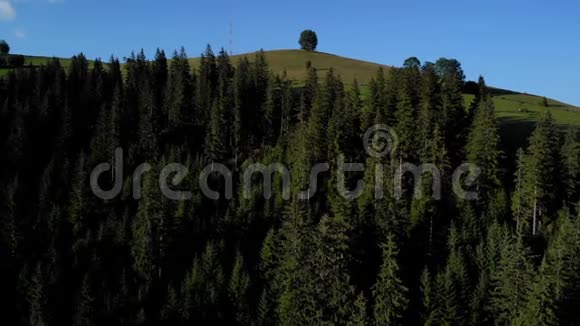 有山坡和森林的美丽景观视频的预览图