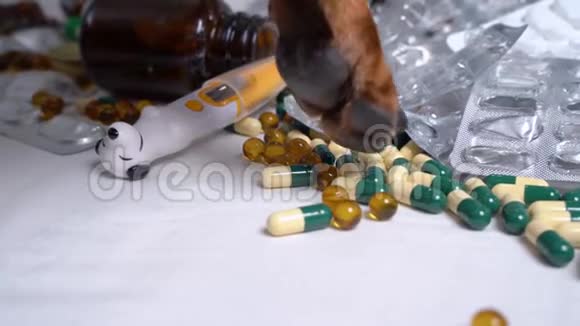 一只狗爪子在一张白色的桌子上整理各种药丸视频的预览图
