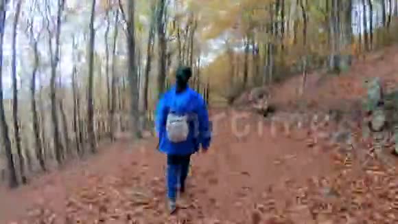 秋天在山毛榉森林里散步的西班牙美女时间流逝的片段视频的预览图