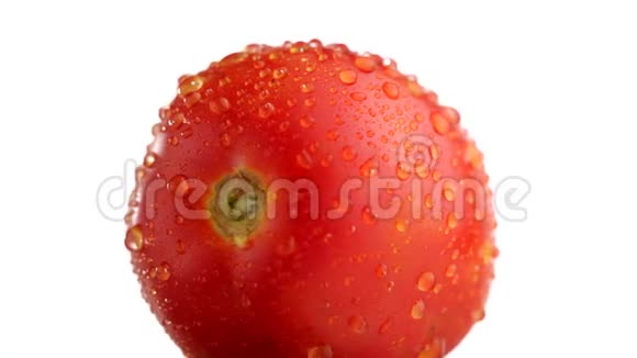 新鲜番茄滴水成熟的天然汤姆特特写白色背景下旋转的有机番茄视频的预览图