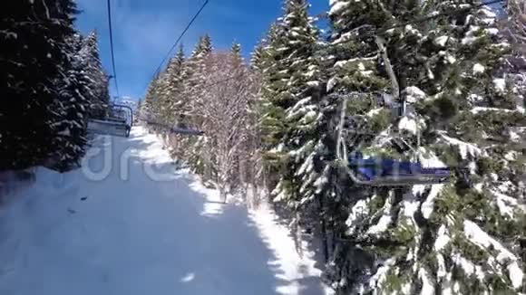 从滑雪椅电梯从松树林和滑雪者上升到索道视频的预览图