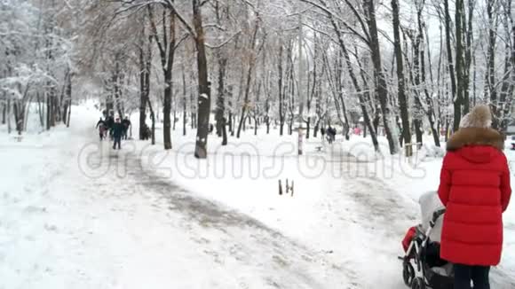 在冬天的公园山谷里散步视频的预览图